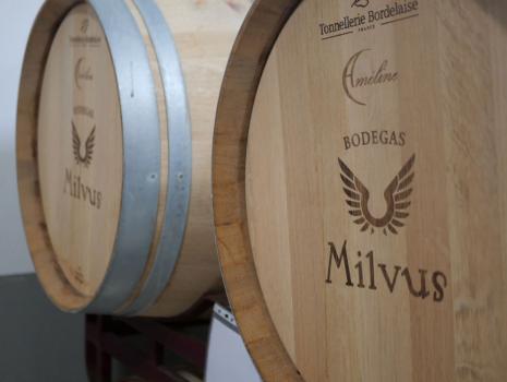 Diferencias entre la fermentación del vino en barrica y depósito