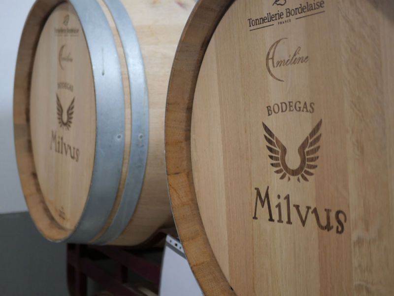 Diferencias entre la fermentación del vino en barrica y depósito