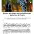 El vino del milano real que seduce en las tierras del Duero por cronica global