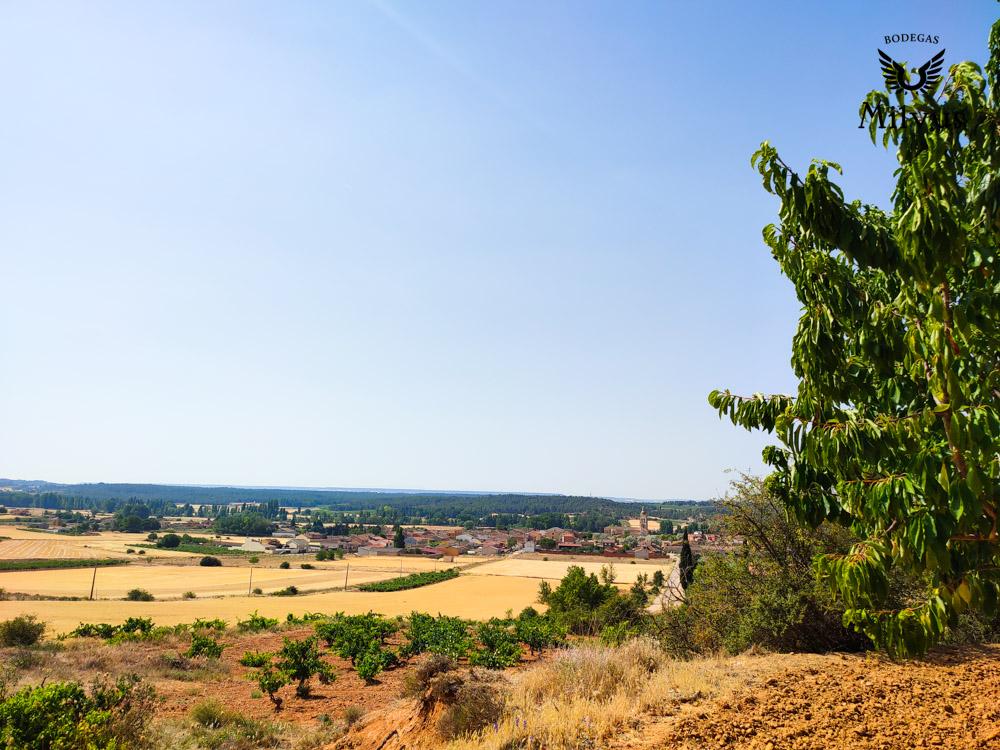 Vistas desde los viñedos de Bodegas Milvus en el valle del Arandilla