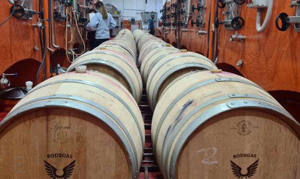 ¿En qué consiste el proceso de fermentación del vino? Tipos de fermentación