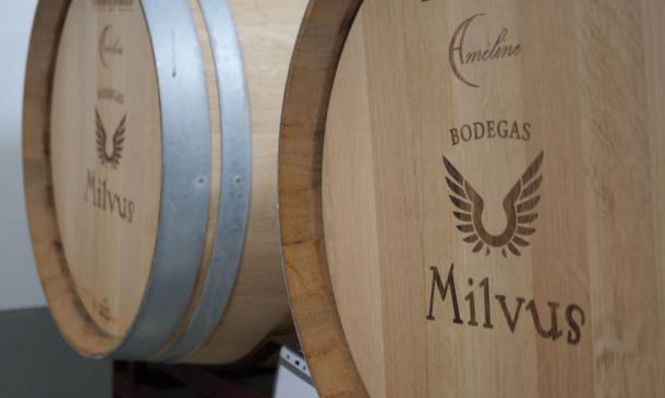 Diferencias entre la fermentación del vino en barrica y depósito