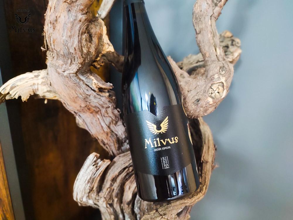 Bodega de vinos Ribera del Duero, Milvus