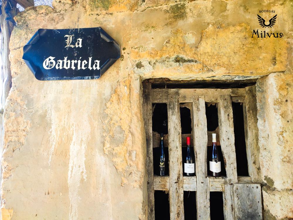 Bodega La Gabriela de Bodegas Milvus en el valle del Arandilla